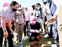 Nawal Lubis Apresiasi Penanaman 1.200 Pohon Andaliman di Tanah Karo