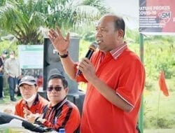 Peringati HUT Ke-49, DPC PDIP Tanam Mangrove di Langkat