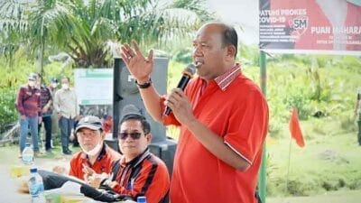 Peringati HUT Ke-49, DPC PDIP Tanam Mangrove di Langkat