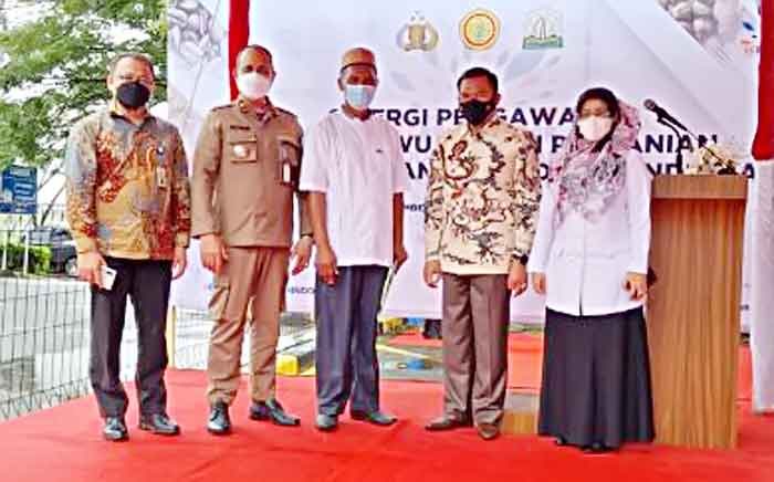 Provinsi Aceh Ekspor 1,3 Ton Kopi Arabika