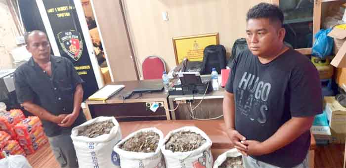 Dit Reskrimsus Poldasu Amankan 150 Kg Sisik Trenggiling