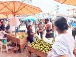 Kapoldasu Dampingi Presiden Jokowi Berkunjung ke Pasar Porsea