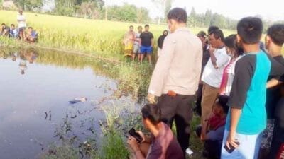 Penemuan Mayat di Areal Persawahan, Polres Deliserdang Olah TKP