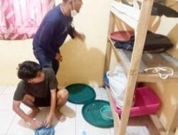 Poldasu Tangkap Penjual 1,9 Kilogram Sisik Trenggiling dan Paruh Burung Enggang Asal Aceh