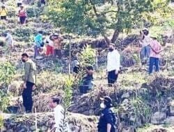 Presiden Jokowi Ajak Bupati Pakpak Bharat Menanam Pohon