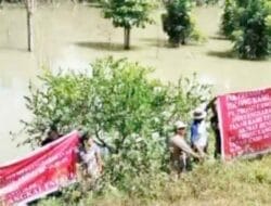 Puluhan Hektare Perkebunan dan Tanaman Rakyat Terendam Banjir