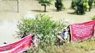 Puluhan Hektare Perkebunan dan Tanaman Rakyat Terendam Banjir