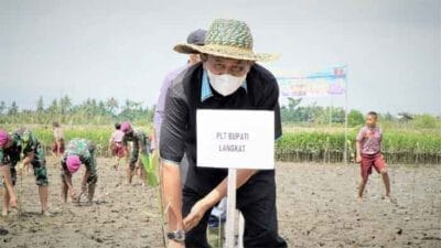 Syah Afandin Ikut Tanam Mangrove