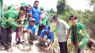 Anggota Fraksi PAN DPRD Sumut Tanam 3.000 Pohon Mangrove di Tanjung Pura