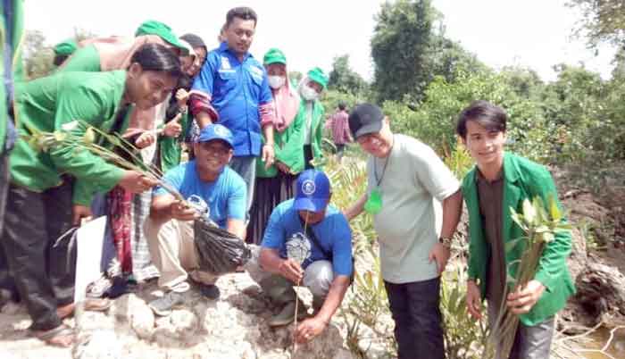 Anggota Fraksi PAN DPRD Sumut Tanam 3.000 Pohon Mangrove di Tanjung Pura
