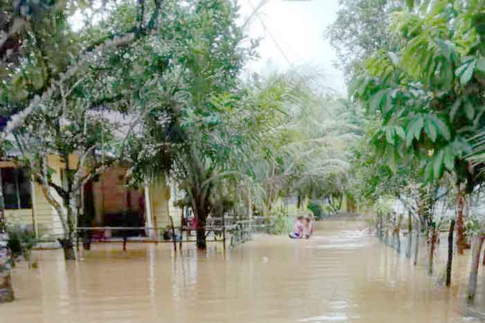 BPBD Langkat Catat Empat Desa Terdampak Banjir