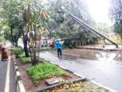 Hujan Deras Disertai Tiupan Angin Kencang Robohkan Pohon di Depan Rumah Dinas Bupati
