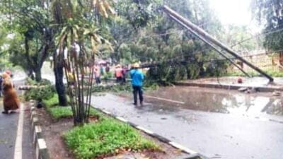 Hujan Deras Disertai Tiupan Angin Kencang Robohkan Pohon di Depan Rumah Dinas Bupati