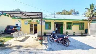 Klarifikasi Lengkap Dinkes Dairi soal Meninggalnya Ibu Hamil LS di Pardomuan