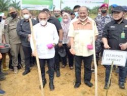 Plt Bupati Langkat Dampingi Gubsu Launching Sentra Jagung Terpadu di Desa PIR ADB dan Bukit Mas