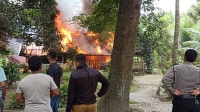 Si Jago Merah Lahap Rumah Satriadi di Dusun II Pondok Jati