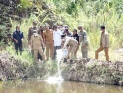 Bupati Pakpak Bharat Tabur Benih Ikan Di Desa Pardomuan