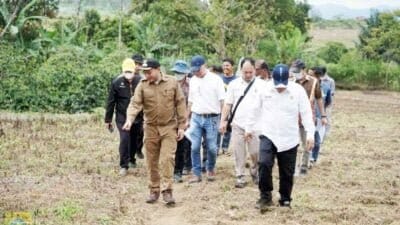 Pakpak Bharat Siap dan Layak Jadi Lokasi Horticulture Development In Dryeland Areas Project