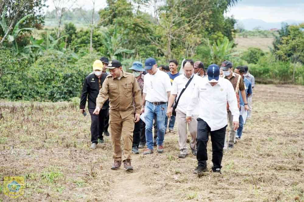 Pakpak Bharat Siap dan Layak Jadi Lokasi Horticulture Development In Dryeland Areas Project