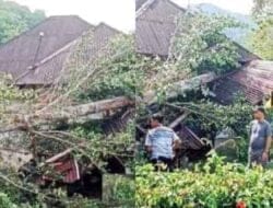 Empat Atap Atap Rumah Warga di Sibolga Diterjang Badai