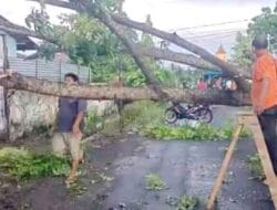Lima Kecamatan dan 17 Kelurahan di Kota Binjai Diterpa Hujan Es dan Angin Kencang