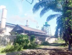 Masyarakat Keluhkan Polusi Asap Dari Pabrik Kelapa Sawit