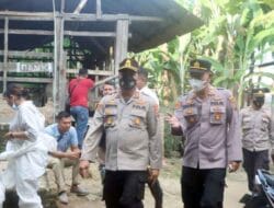 Kapoldasu Genjot Percepatan Penyembuhan PMK Hewan Ternak