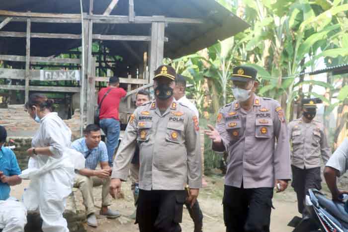 Kapoldasu Genjot Percepatan Penyembuhan PMK Hewan Ternak