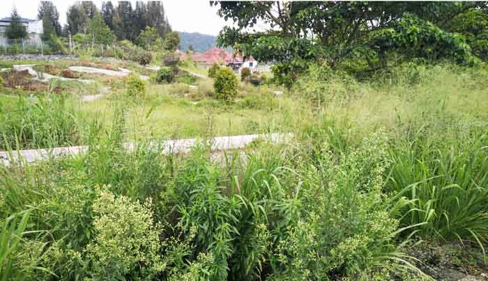 LHP THKW Dipertanyakan, Studi Banding Sudah Banyak Progress Jalan Ditempat?