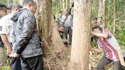 Bupati Pakpak Bharat Kunjungi Kawasan Pelestarian Hutan Kapur