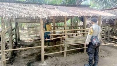 Bhabinkamtibmas Polsek Salapian Laksanakan Penyemprotan Disinfektan di Desa Turangi