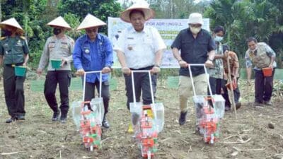 Bupati Dairi Tanam Bersama KUR Klaster Jagung dan Bagikan Alsintan di Kecamatan Tigalingga