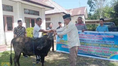 Bupati Pakpak Bharat Serahkan Hewan Kurban di Pagindar