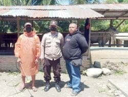 Kanit Binmas Polsek Bahorok Giat Penyemprotan Disinfektan Kandang Sapi