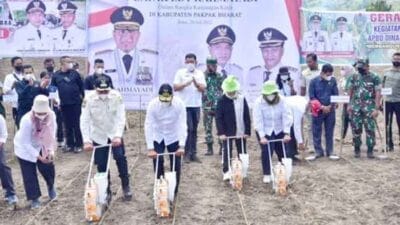 Gubsu Optimis Pakpak Bharat Bisa Jadi Produsen Utama Jagung di Sumut