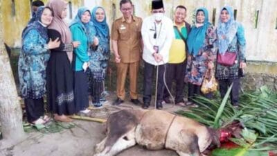 Disdik Bersama UPTD Batubara Kurban 15 Ekor Lembu