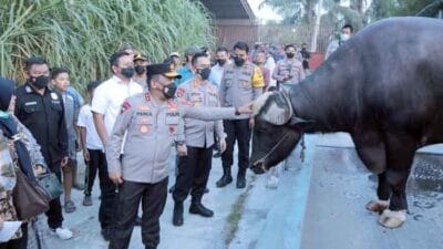 Jelang Idul Adha 1443 H, Kapolda Sumut Datangi Rumah Peternakan Hewan