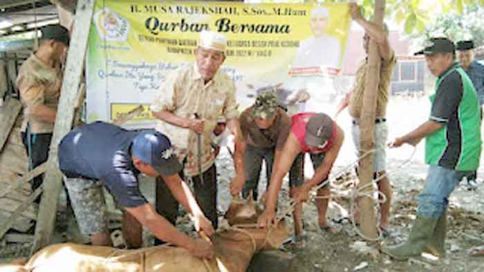 Musa Rajekshah dan Zahir Kurban Bersama DPD Pujakesuma Batubara