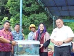 Pemkab Dairi Mulai Budidaya Ihan Batak