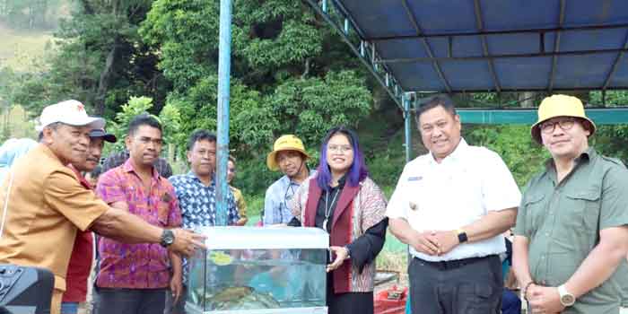 Pemkab Dairi Mulai Budidaya Ihan Batak