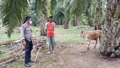 Bhabinkamtibmas Polsek Tanjung Pura Sampaikan Pesan Kepada Pemilik Hewan Ternak