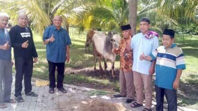 Plt Bupati Langkat & Keluarga Kurban 7 Ekor Sapi