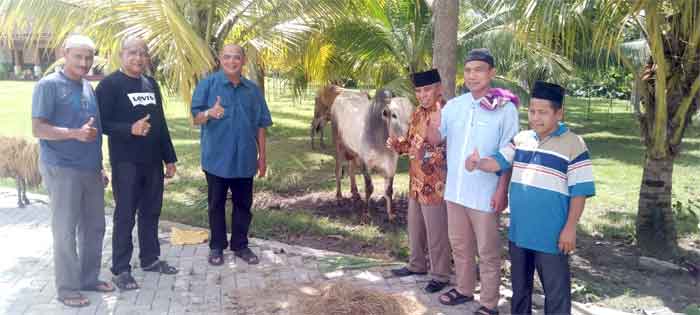 Plt Bupati Langkat & Keluarga Kurban 7 Ekor Sapi