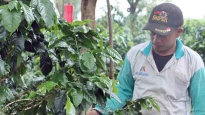 Program ‘Rabu Ngopi’ Direspons Positif Masyarakat