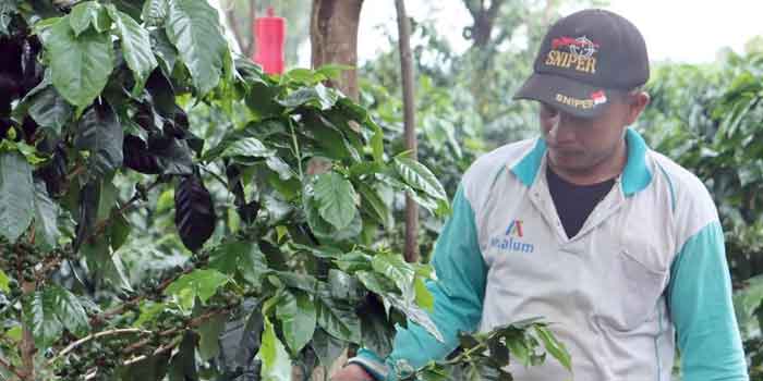 Program ‘Rabu Ngopi’ Direspons Positif Masyarakat