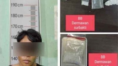 Pelaku Tindak Pidana Peredaran Narkotika Diamankan Satresnarkoba Polres Langkat