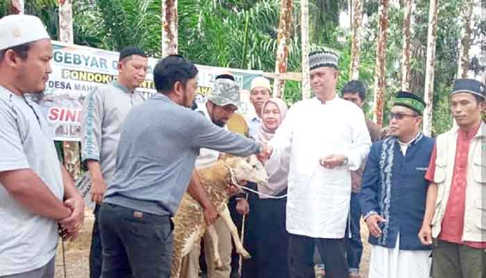 Wabup Pakpak Bharat Serahkan 120 Hewan Kurban dari Lembaga Amil Zakat Nasional