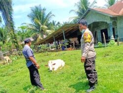 Bhabinkamtibmas Polsek Kuala Laksanakan Giat Monitoring dan Sosialisasi PMK