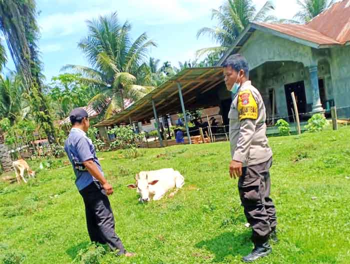 Bhabinkamtibmas Polsek Kuala Laksanakan Giat Monitoring dan Sosialisasi PMK