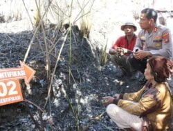 Poldasu Tangkap Dua Pelaku Pembakaran Hutan di Kabupaten Samosir